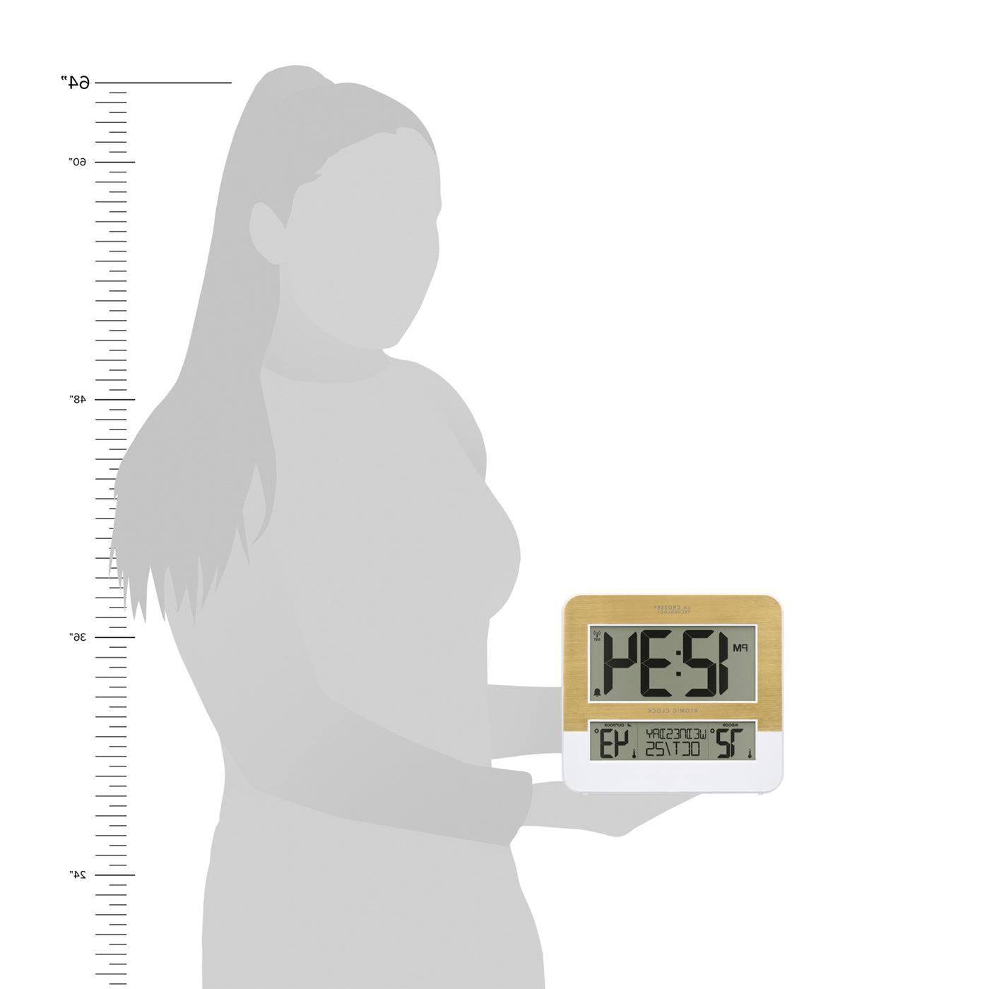 L73859 scale